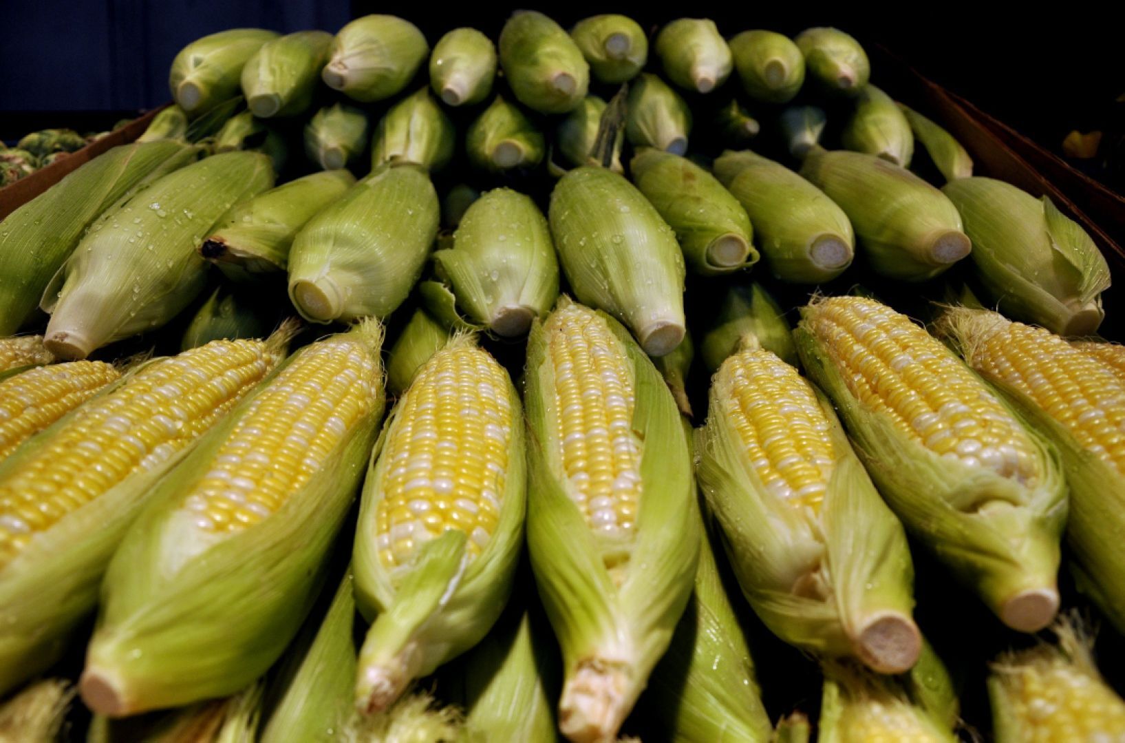 Soulard Farmers Market